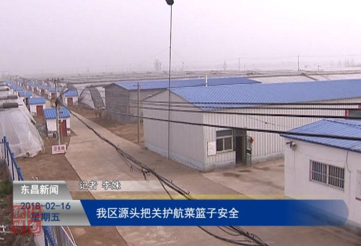 东昌府区：源头把关护航“菜篮子”安全