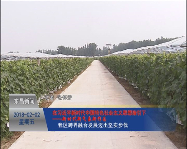 我区跨界融合发展迈出坚实步伐