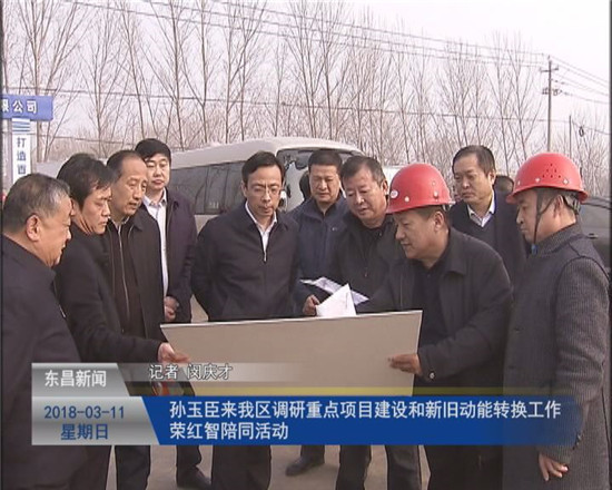孙玉臣来我区调研重点项目建设和新旧动能转换工作 荣红智陪同活动