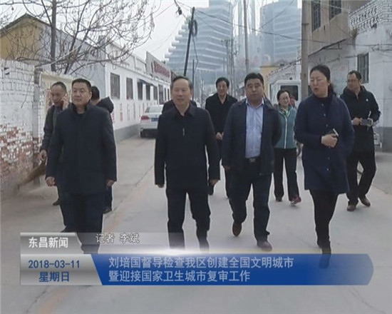刘培国督导检查我区创建全国文明城市暨迎接国家卫生城市复审工作
