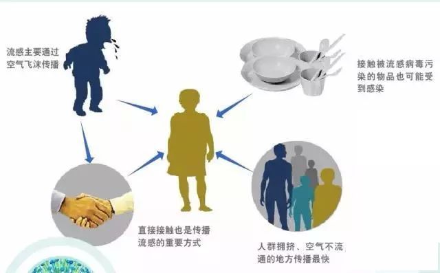 聊城目前流感疫情仍呈高发态势 病毒类型向甲型转变