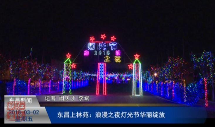 东昌上林苑：浪漫之夜灯光节华丽绽放