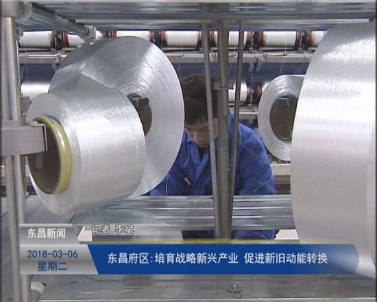 东昌府区:培育战略新兴产业 促进新旧动能转换