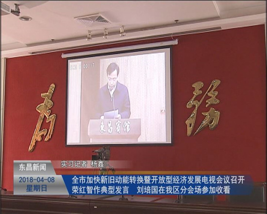 全市加快新旧动能转换暨开放型经济发展电视会议召开 荣红智作典型发言 刘培国在分会场参加收看