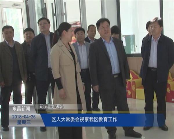 区人大常委会视察我区教育工作