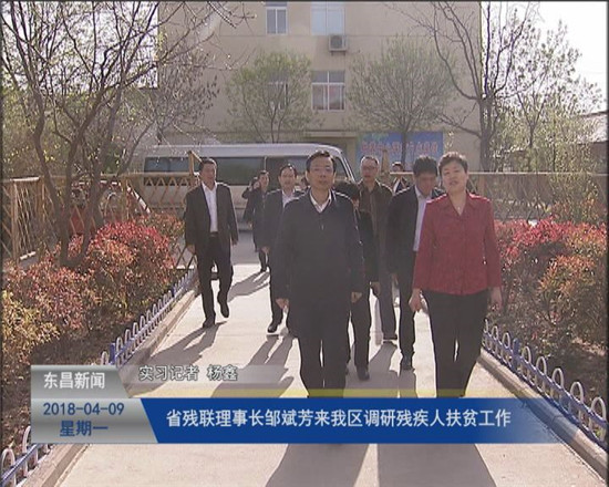 省残联理事长邹斌芳来我区调研残疾人扶贫工作 荣红智陪同活动