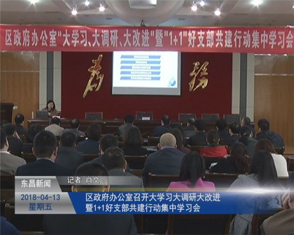 区政府办公室召开“大学习、大调研、大改进”暨“1+1”好支部共建行动集中学习会