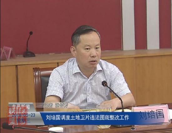 刘培国调度土地卫片违法图斑整改工作