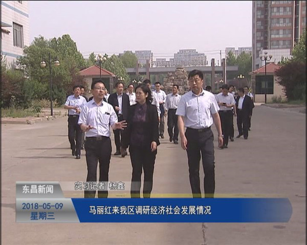 马丽红来我区调研经济社会发展情况