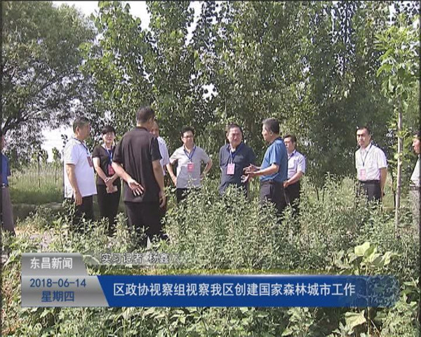 区政协视察组视察我区创建国家森林城市工作
