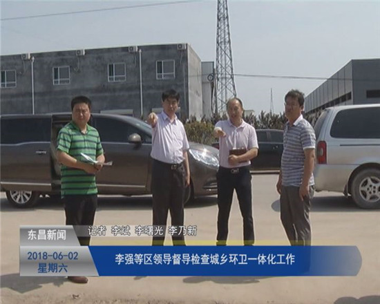 李强等区领导督导检查城乡环卫一体化工作
