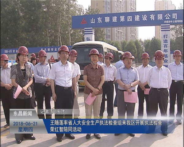 王随莲率省人大安全生产执法检查组来我区开展执法检查 荣红智陪同活动
