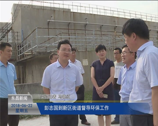 彭志国到新区街道督导环保工作