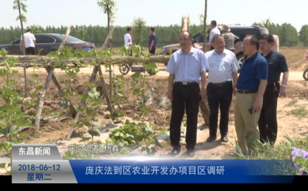 庞庆法到区农业开发办项目区调研