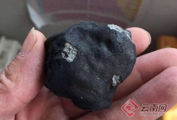 云南坠落陨石年龄和太阳系相当 最贵一块卖到16万