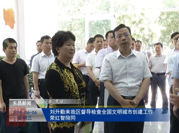 刘升勤来我区督导检查全国文明城市创建工作  荣红智陪同
