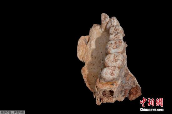 考古新发现！这个女孩是9万年前史前人类“混血儿”