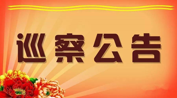 十三届聊城市委第五轮巡察公告