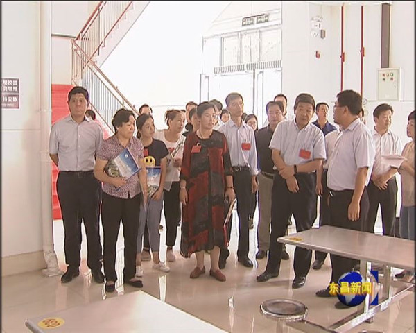 驻山东省全国人大代表来我区调研农村义务教育发展工作