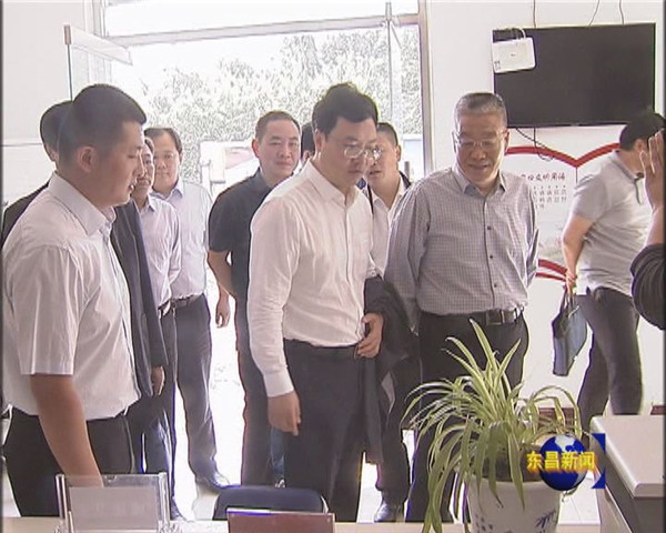 张旋宇来我区督导调研工作