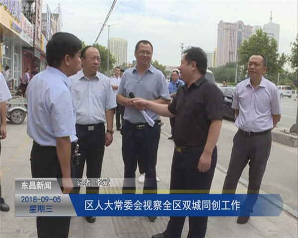 区人大常委会视察全区“双城同创”工作