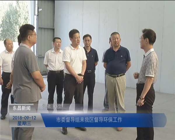 市委督导组来我区督导环保工作