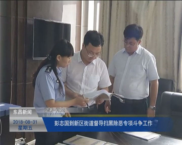 彭志国到新区街道督导扫黑除恶专项斗争工作