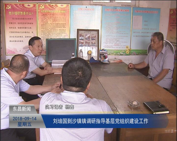 刘培国到沙镇镇调研指导基层党组织建设工作