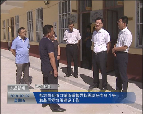 彭志国到道口铺街道督导扫黑除恶专项斗争和基层党组织建设工作