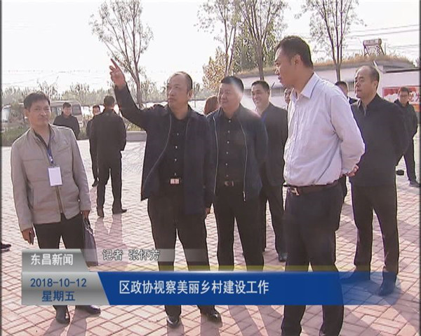 区政协视察美丽乡村建设工作