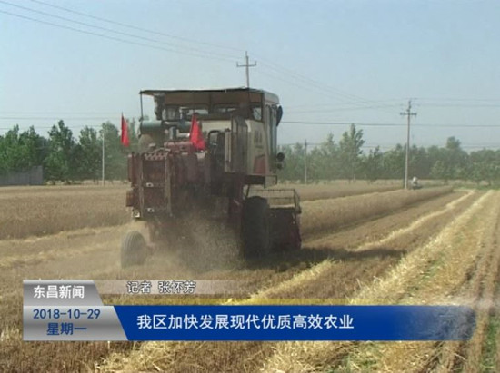 我区加快发展现代优质高效农业