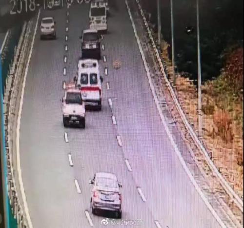 三地警车开道！5小时21分完成500公里“生命接力”