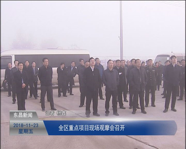 全区重点项目现场观摩会召开