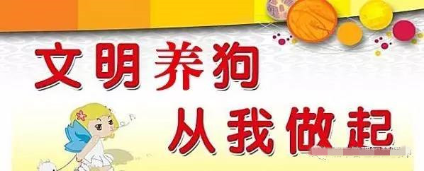 养狗干扰他人生活不改要罚款！聊城发通告规范养犬