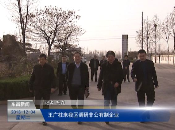 王广柱来我区调研非公有制企业