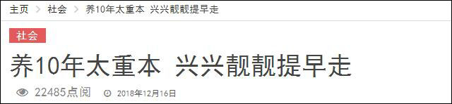 养不起！马来西亚部长称将把2只大熊猫提前送还中国