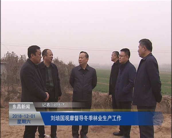 刘培国观摩督导冬季林业生产工作