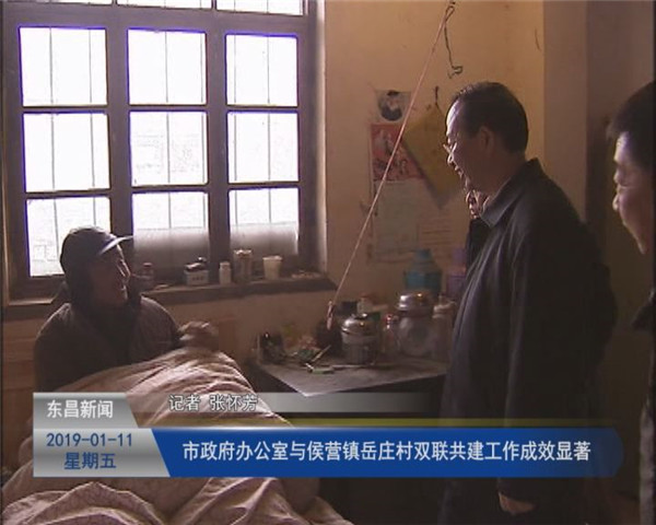 市政府办公室与侯营镇岳庄村“双联共建”工作成效显著