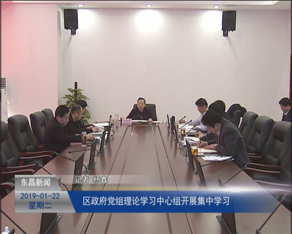 区政府党组理论学习中心组开展集中学习