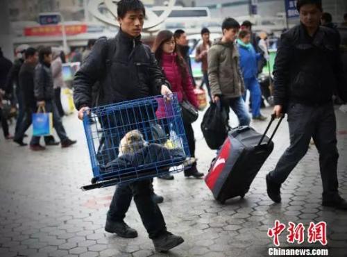 资料图：带着狗狗去乘车，吸引旅客的眼球。 泱波 摄