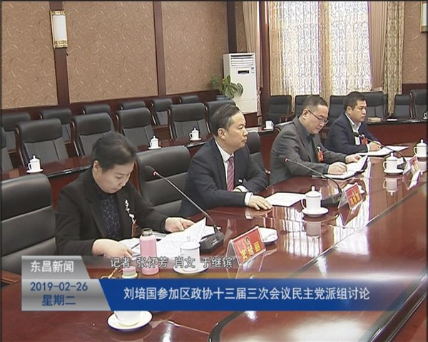 刘培国与参加区政协十三届三次会议民主党派组共同讨论政府工作报告