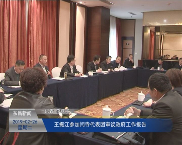 王振江参加闫寺代表团审议政府工作报告