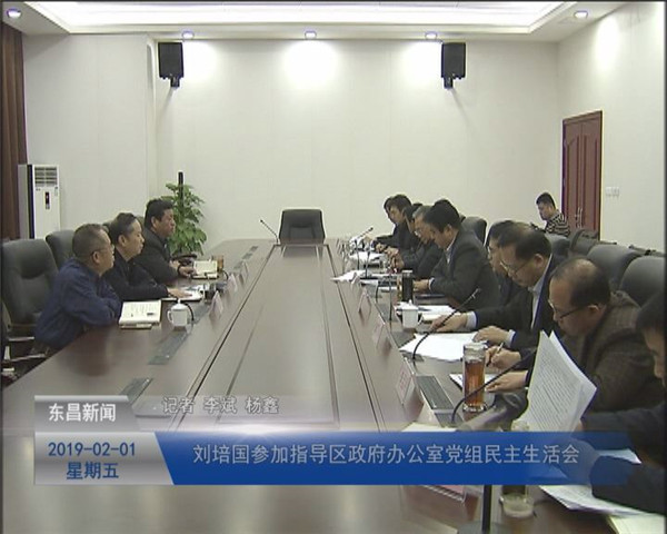 刘培国参加指导区政府办公室党组民主生活会