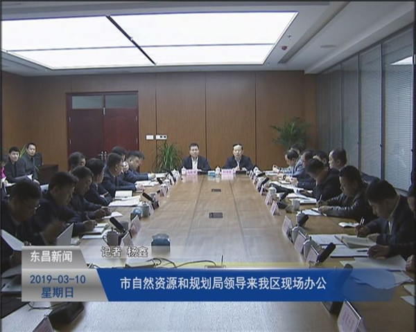 市自然资源和规划局领导来我区现场办公