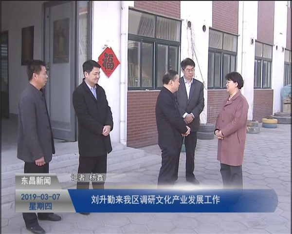 刘升勤来我区调研文化产业发展工作
