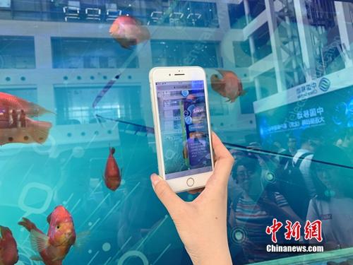 5G智慧鱼缸。<a target='_blank' href='http://www.chinanews.com/' >中新网</a> 吴涛 摄