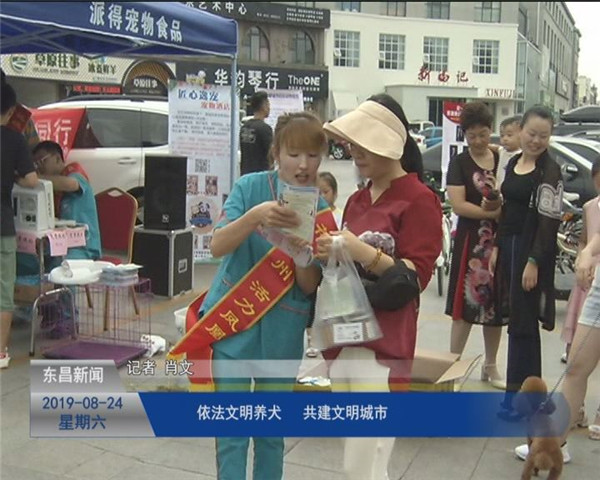 【文明创建进行时】依法文明养犬  共建文明城市