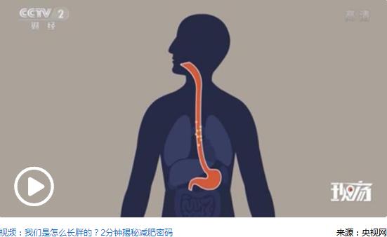 何时锻炼效果好？研究：晨练有助减重晚练更有效率