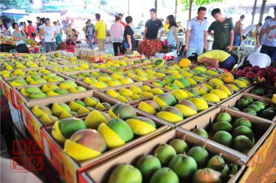 记者探访“蔬菜之乡”：9月菜价，能不能稳住？