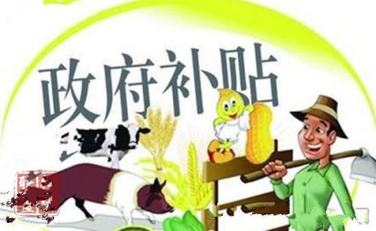 鼓励养猪保障供应中央财政补助奖励政策再加码